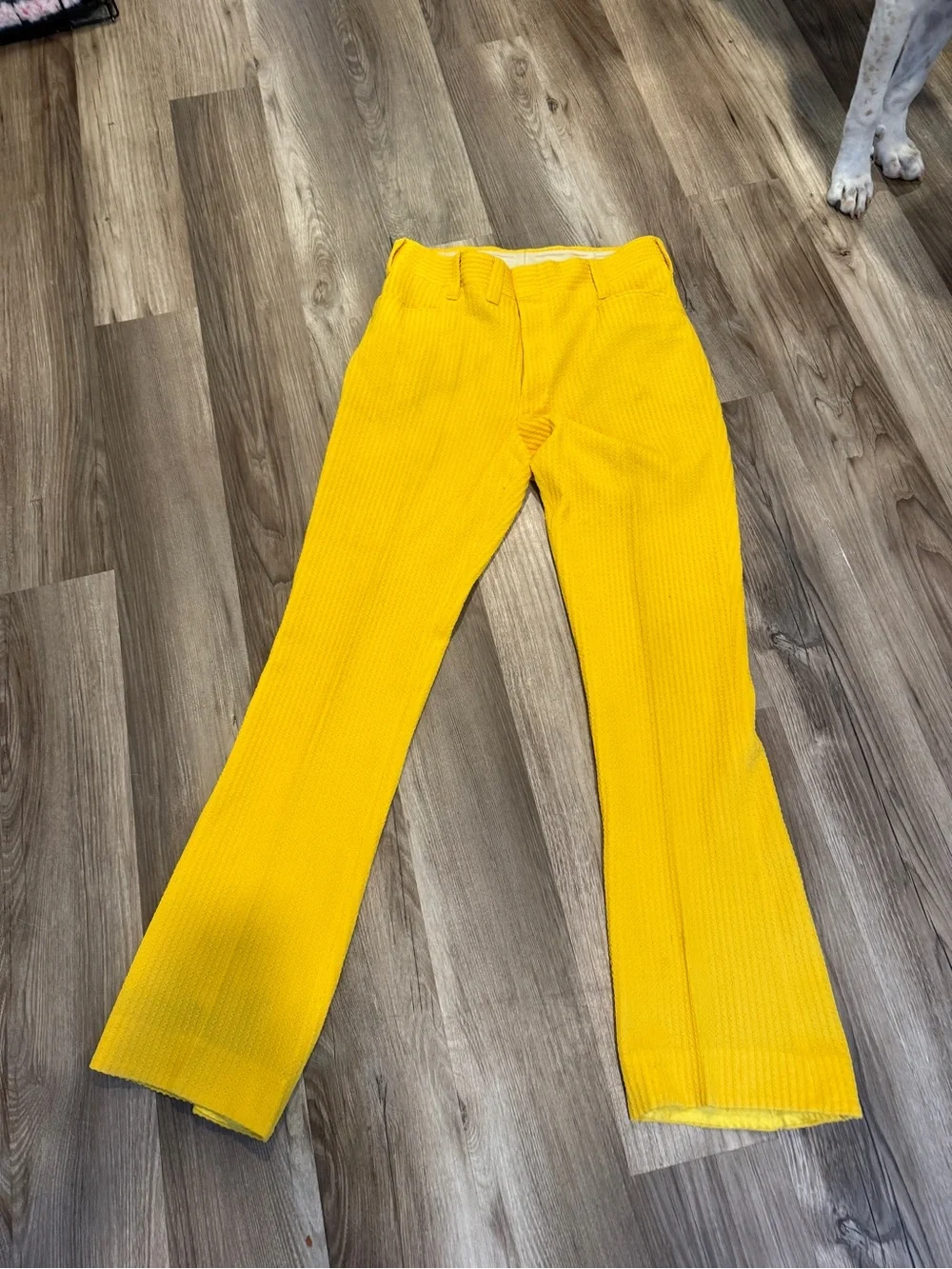 Men's Bright Yellow Dress Pants - Tailored Straight Leg